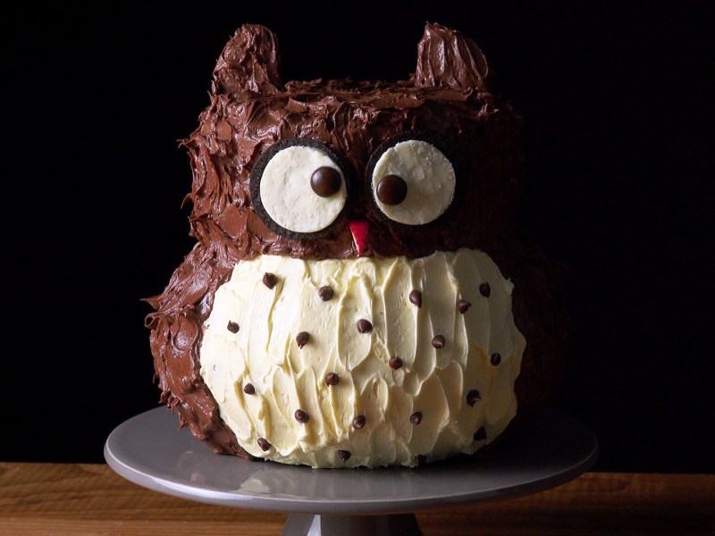 süßer Eulen-Kuchen