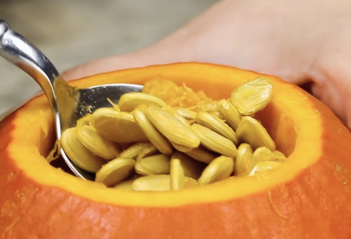 Aufgeschnittener Kürbis wird mit Löffel ausgehöhlt