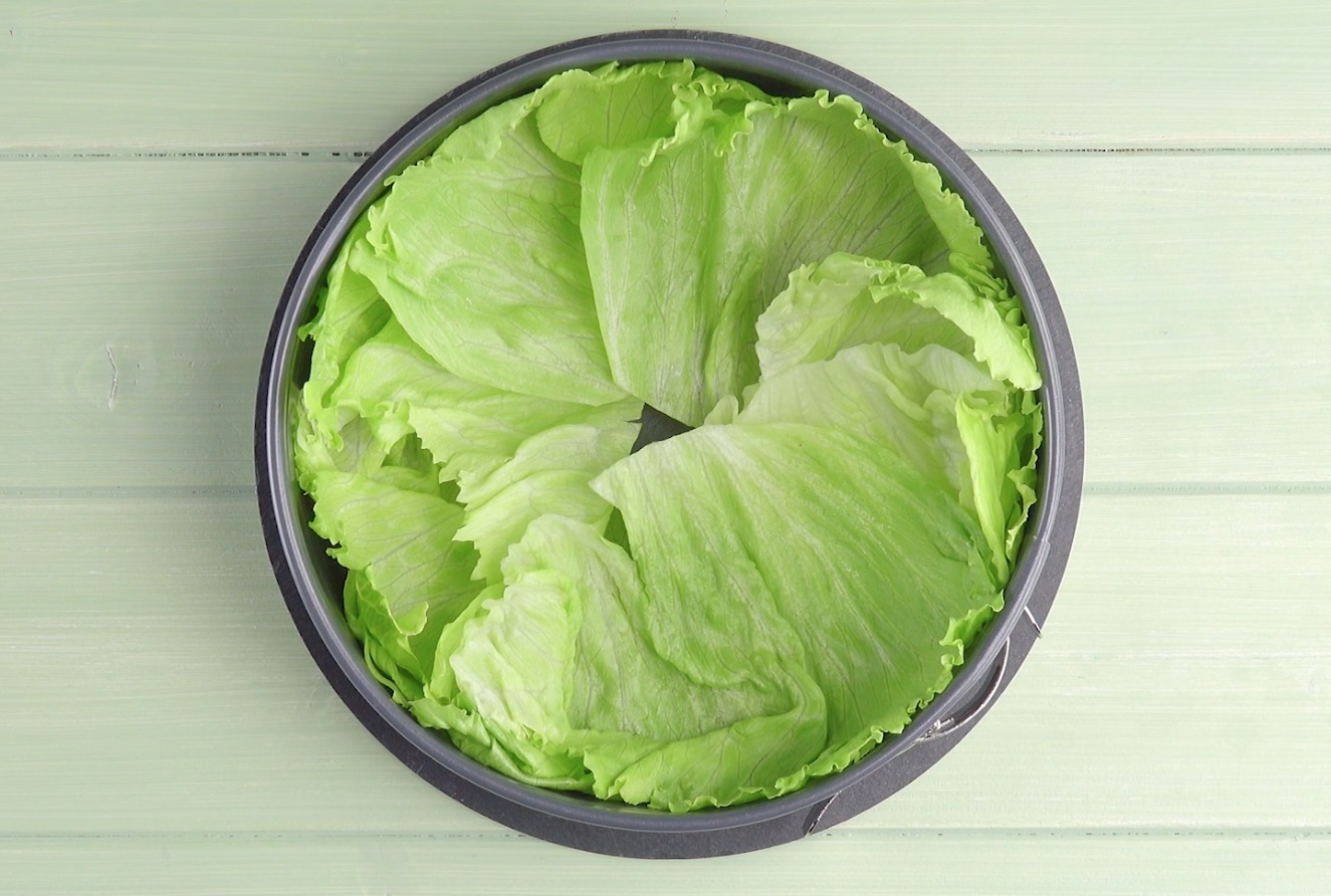 Salatblätter werden überlappend in Springform gelegt