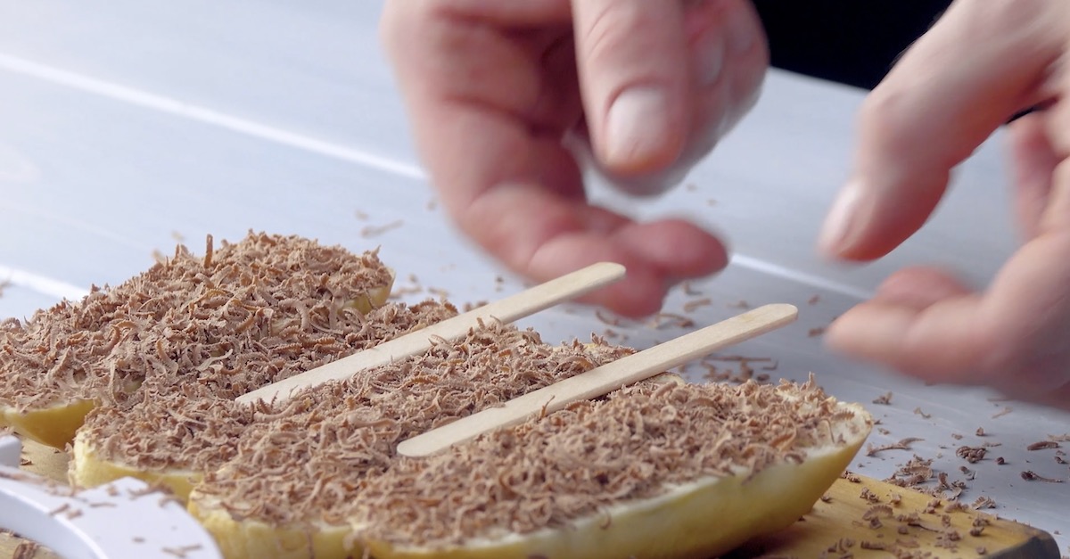 Halbierte Milchbrötchen werden mit Schokolade bestreut und je einem Eisstiel versehen.