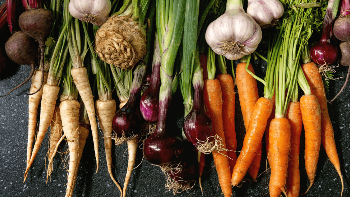 Verschiedene Sorten Wurzelgemüse, die nebeneinander liegen