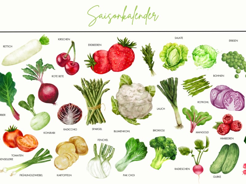Saisonkalender Juni