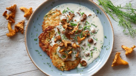 Kartoffelpuffer mit Pfifferling-Rahmsoße auf einem Teller in der Draufsicht, daneben Kräuter und Pfifferlinge.