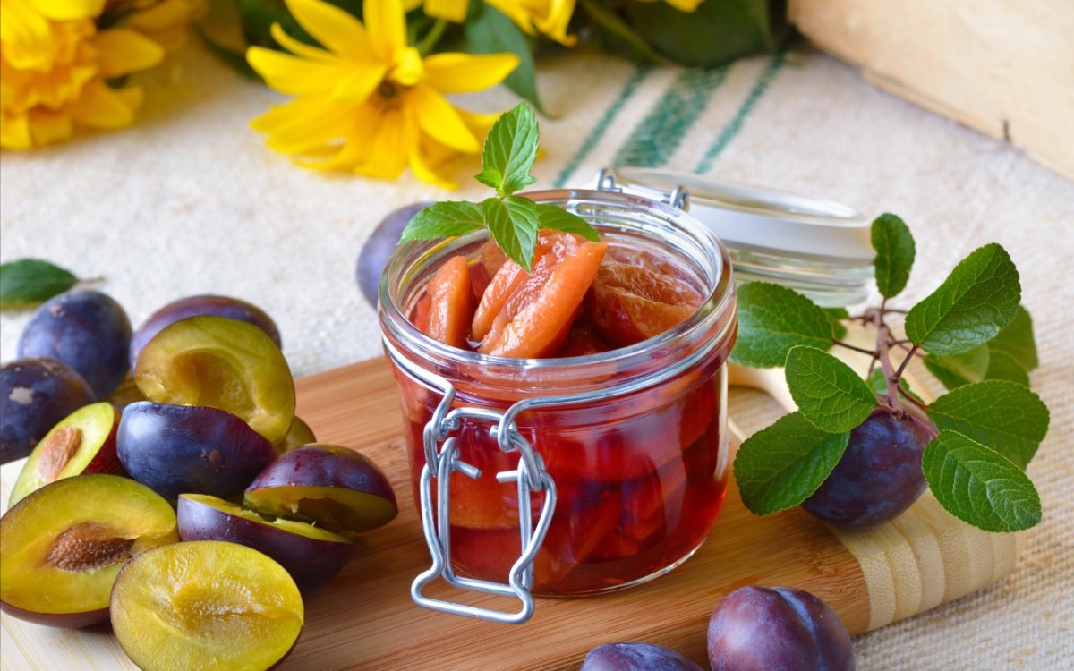 Ein Glas eingekochte Pflaumen. Drumherum frische Pflaumen.