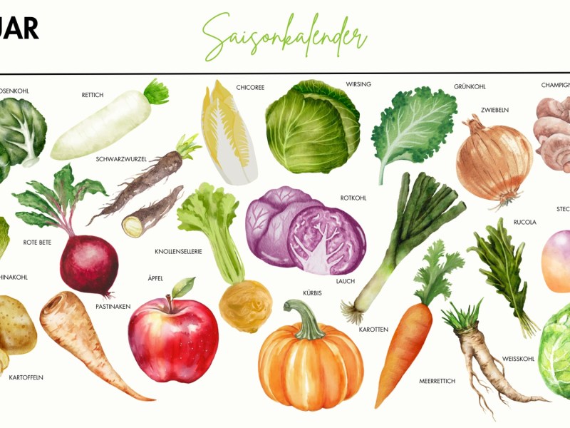 Saisonkalender Februar