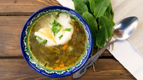 Eine Schüssel Sauerampfer-Suppe mit Ei in der Draufsicht.