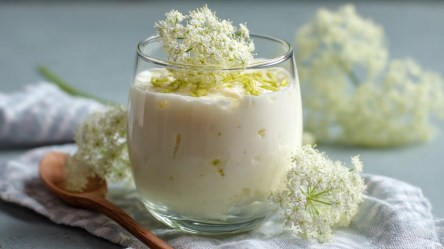 Ein Glas Holunderblüten-Pudding.