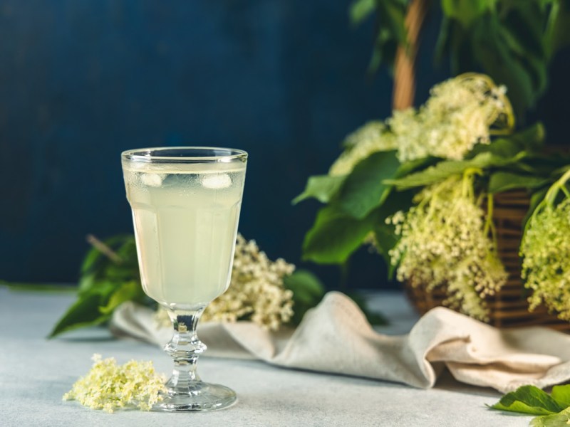 Ein Kelch mit Holunderblütensekt, daneben mehrere Holunderblütendolden.