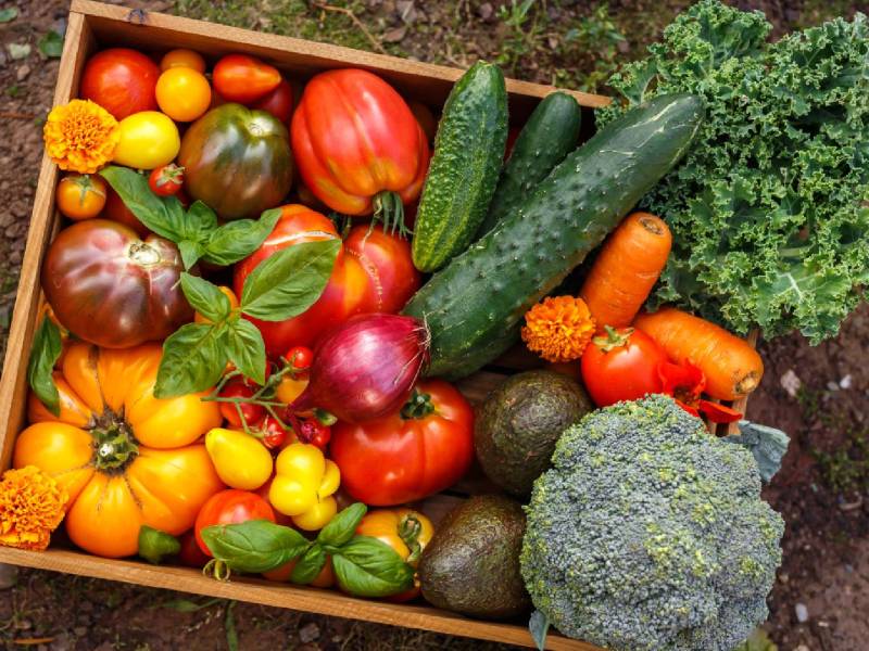 30 Pflanzen pro Woche: Eine Kiste mit verschiedenen Sorten Gemüse
