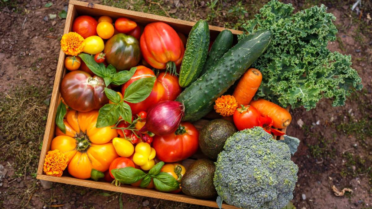 30 Pflanzen pro Woche: Eine Kiste mit verschiedenen Sorten Gemüse