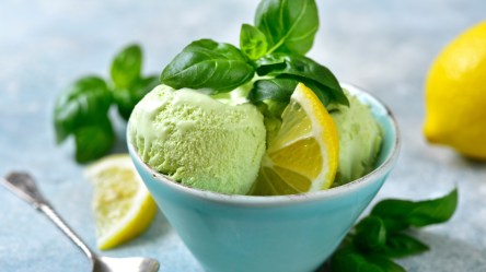 Eine Schale mit zwei Kugeln Zitronen-Basilikum-Sorbet, garniert mit frischem Basilikum und Zitronenscheiben.