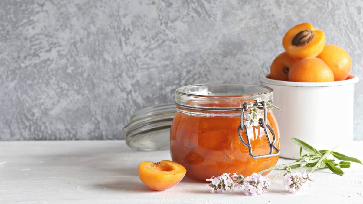 Glas Aprikosen-Lavendel-Marmelade mit frischen aprikosen daneben
