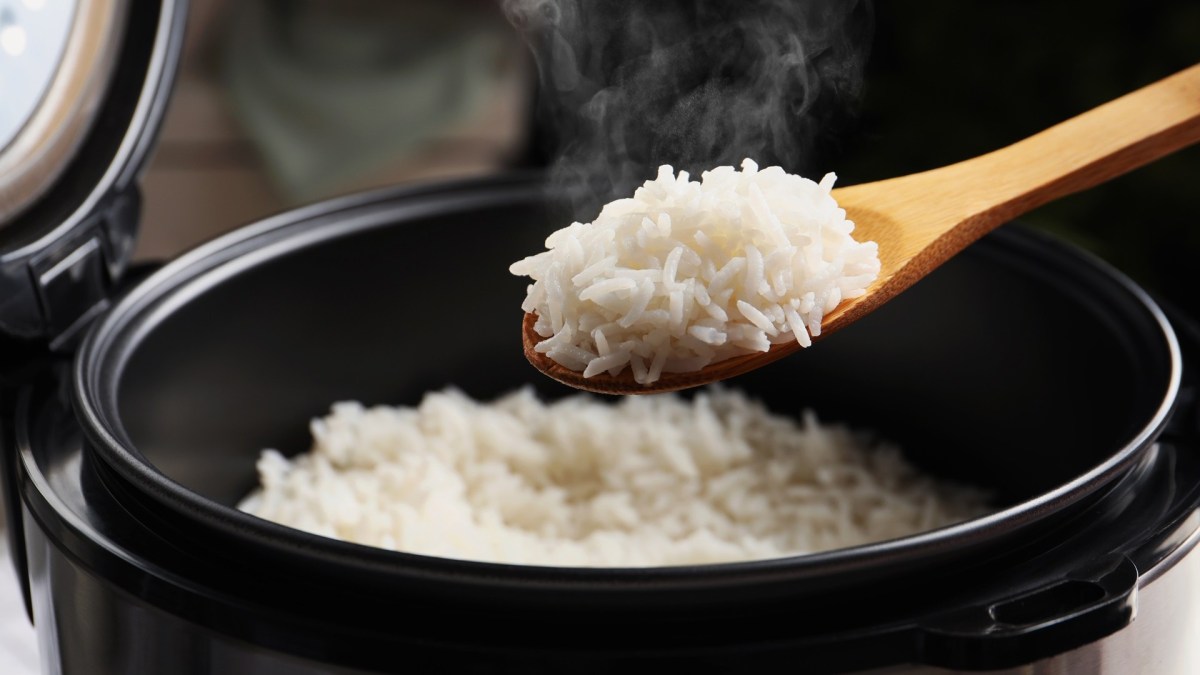 Prime Day Reishunger Digitaler Reiskocher