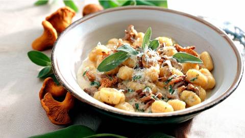 Teller mit Gnocchi in Pfifferling-Sahnesoße