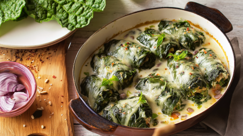 Mangoldrouladen mit Frischkäsesoße in einer Auflaufform.