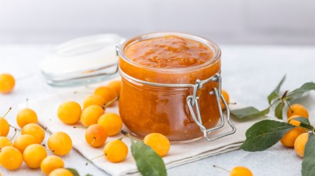 Ein Glas Mirabellenmarmelade. Daneben liegen frische Früchte.