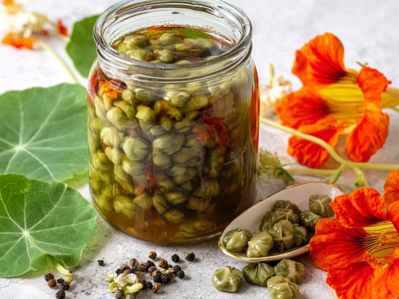 Ein Glas mit Kapuzinerkresse-Kapern, daneben Blüten und Blätter der Kapuzinerkresse.