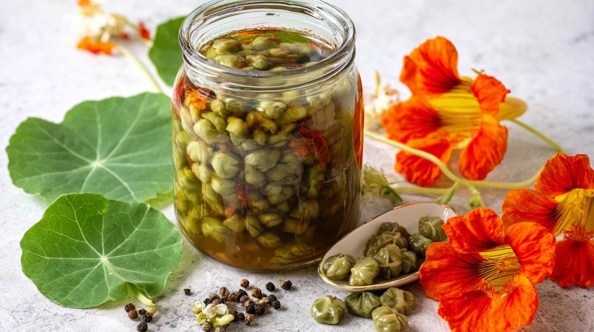 Ein Glas mit Kapuzinerkresse-Kapern, daneben Blüten und Blätter der Kapuzinerkresse.