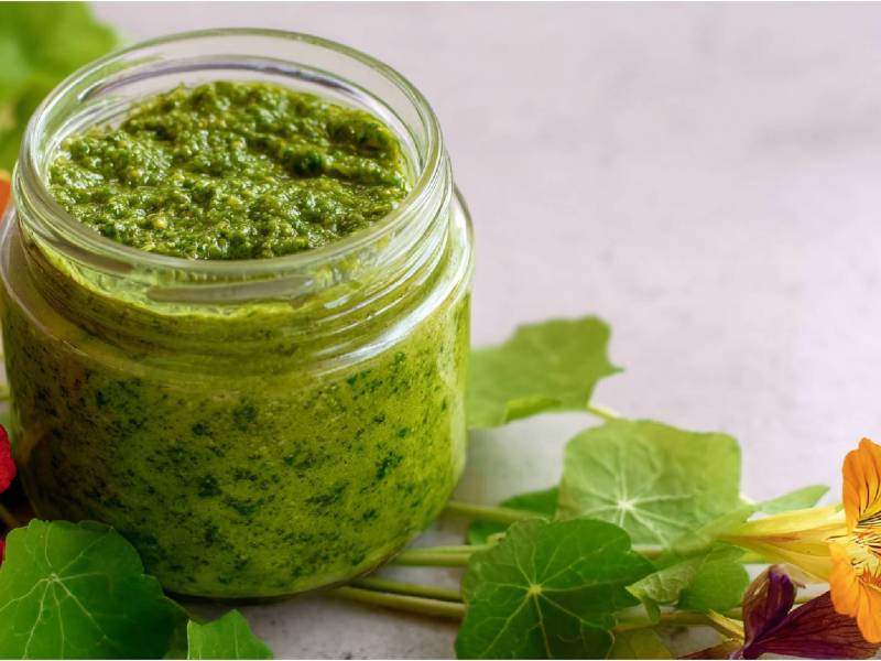Glas mit Kapuzinerkresse-Pesto und Kapuzinerkresseblüten daneben