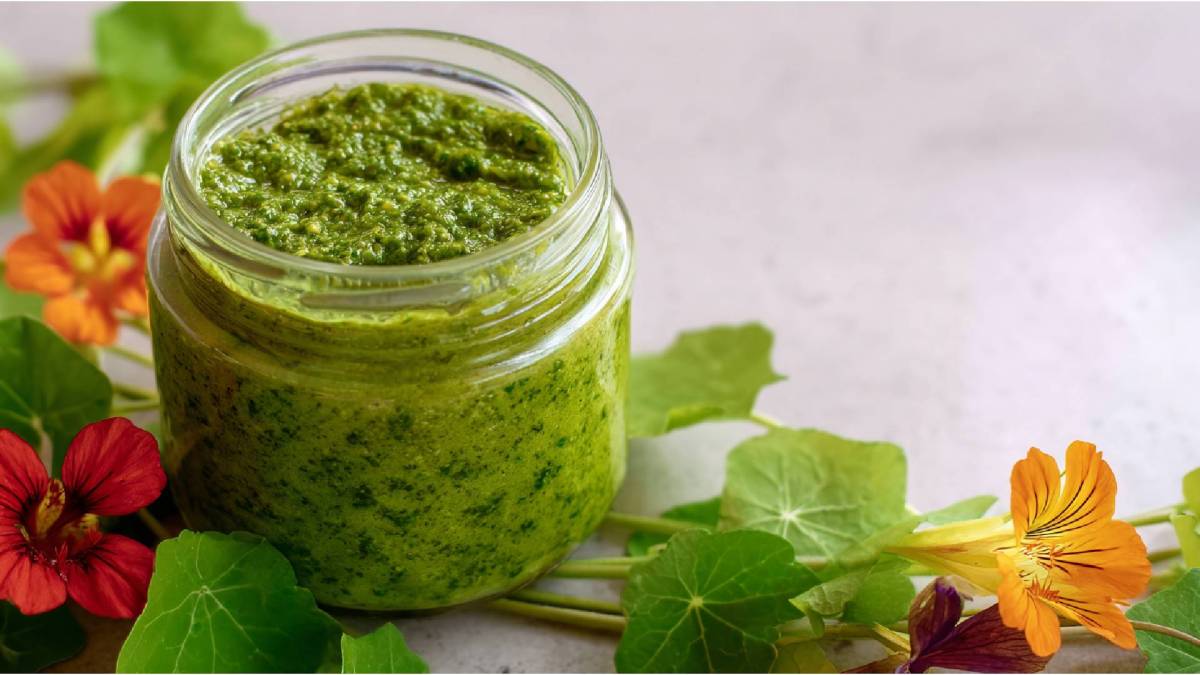 Glas mit Kapuzinerkresse-Pesto und Kapuzinerkresseblüten daneben