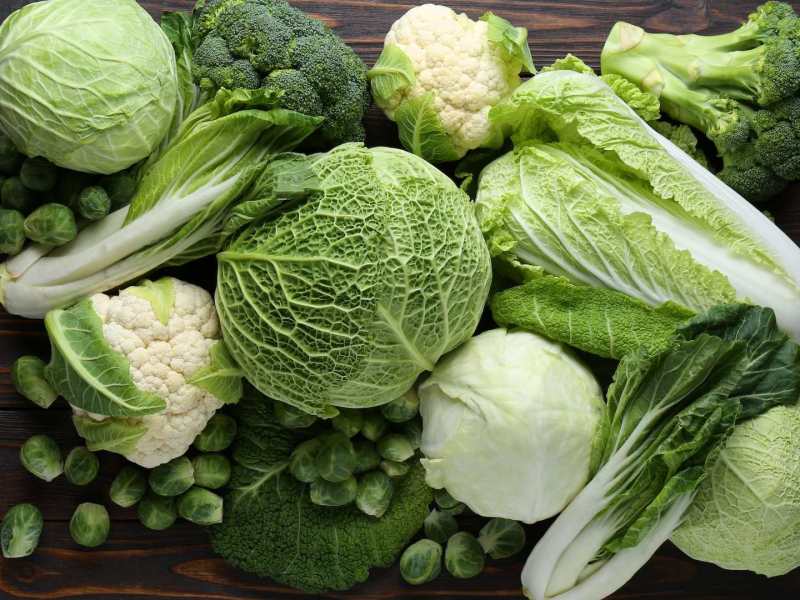 Verschiedene Kohlsorten in der Draufsicht.