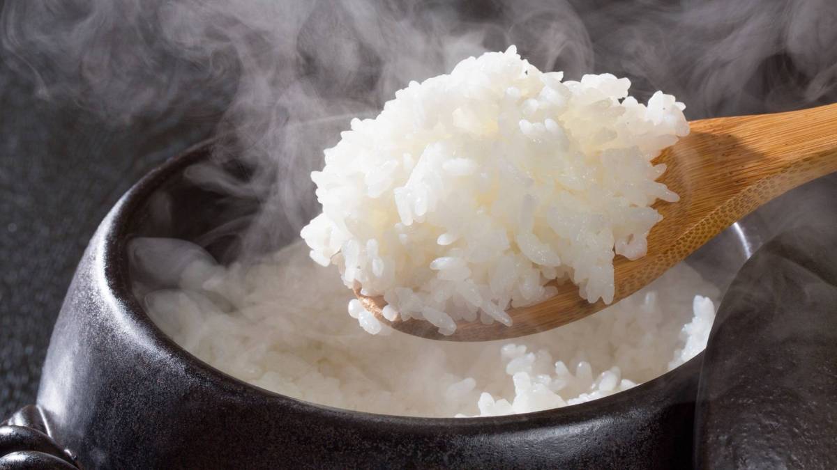 Nahaufnahme eines Holzlöffels mit gekochtem Reis auf dem Mikrowellen-Reiskocher.