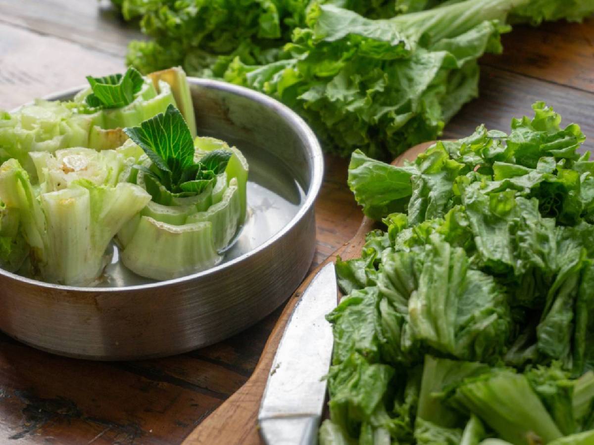 Re-Grow: Wie aus vermeintlichem Abfall neues Gemüse werden kann