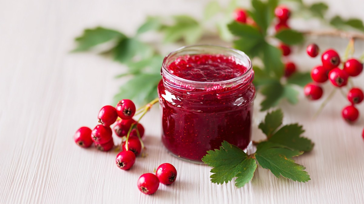 Ein Glas mit Weißdorn-Marmelade. Ringsum liegen ein paar Weißdornbeeren verteilt.