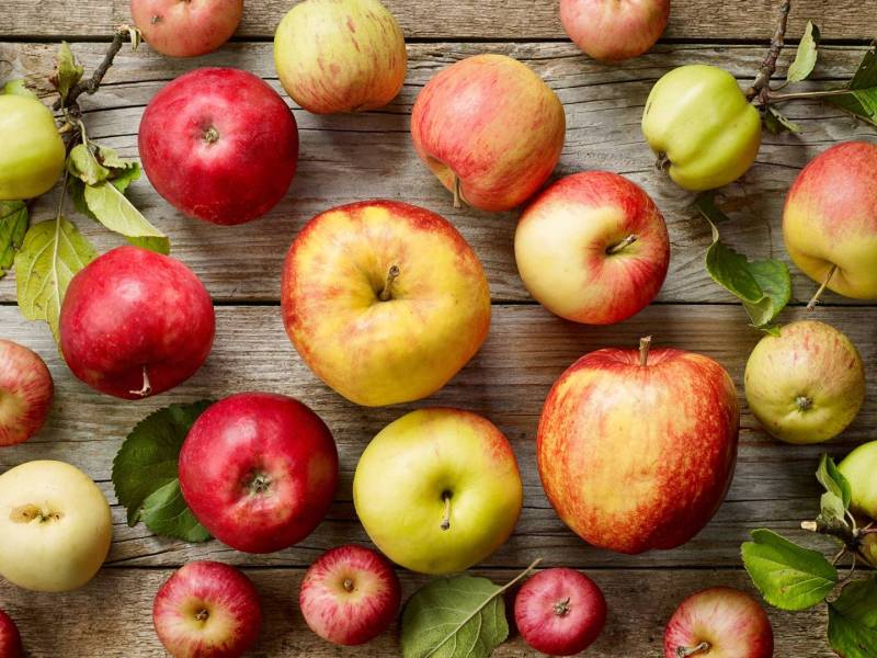 Verschiedene Apfelsorten, die auf einer rustikalen Holzoberfläche verteilt sind.